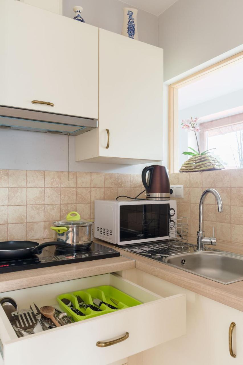 Apartament Parzenica זקופאנה מראה חיצוני תמונה